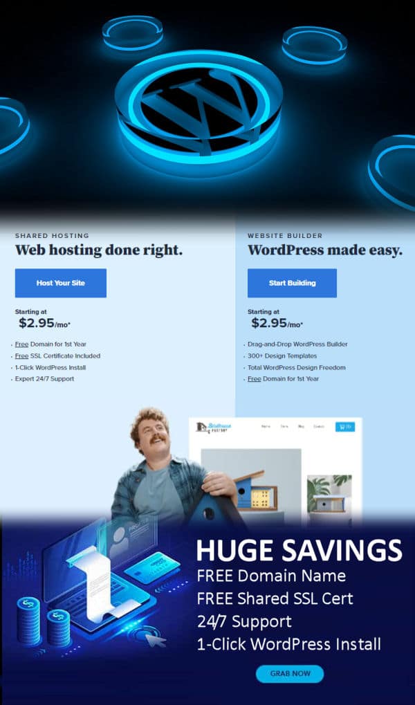 bluehost wordpress worth it